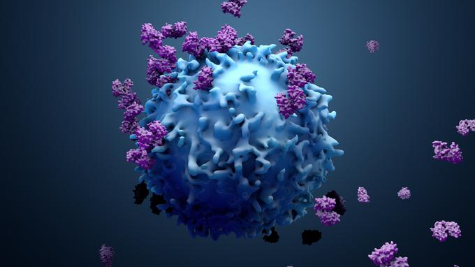 Znanstveniki so preučili možnosti zdravljenja s celico T, ki jo najdemo v naši krvi. | Foto: Getty Images