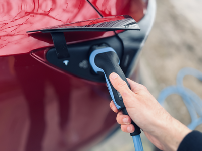 Bo omrežje zdržalo, ko bomo električni avtomobil vsi priklopili ob 18. uri?