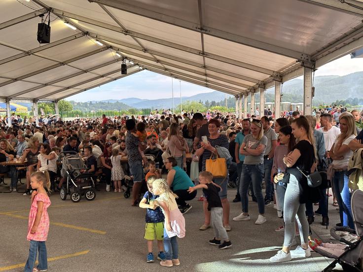 Na velikih veselicah se zbere nekaj tisoč ljudi, organizatorje iz manjših gasilskih društev osreči že 1.500 obiskovalcev. | Foto: STA