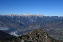 Črna prst Bohinj
