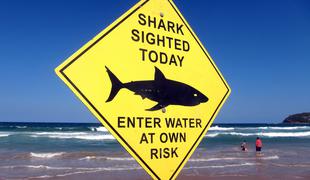 V Avstraliji verjetno še ena smrt zaradi morskega psa (video)