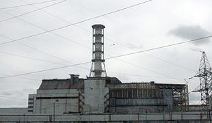 V Černobilu skoraj 40 let po katastrofi opazili modre pse. Kaj je v ozadju?