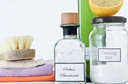 Ekološka čistila za dom