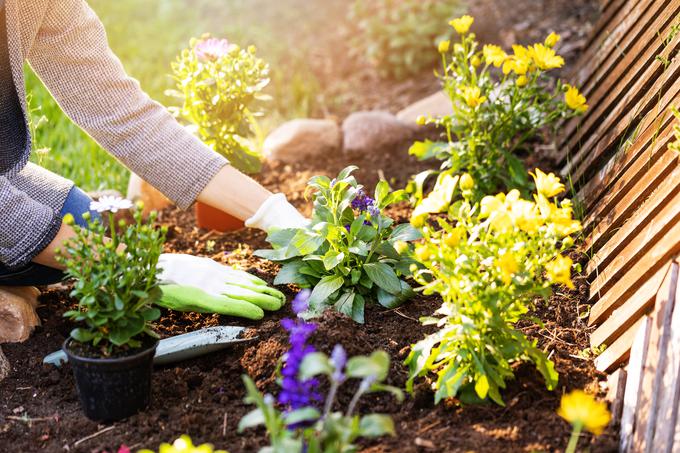 vrt, vrtnarjenje | Foto: Getty Images