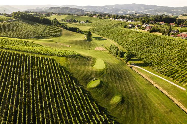 Valoviti vinogradi se razprostirajo v naravo in ustvarjajo razglede, ki jemljejo sapo. | Foto: Halla Studio, TDRP