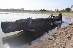 Prazgodovinski štiritonski deblak spuščajo v Soboško jezero #foto