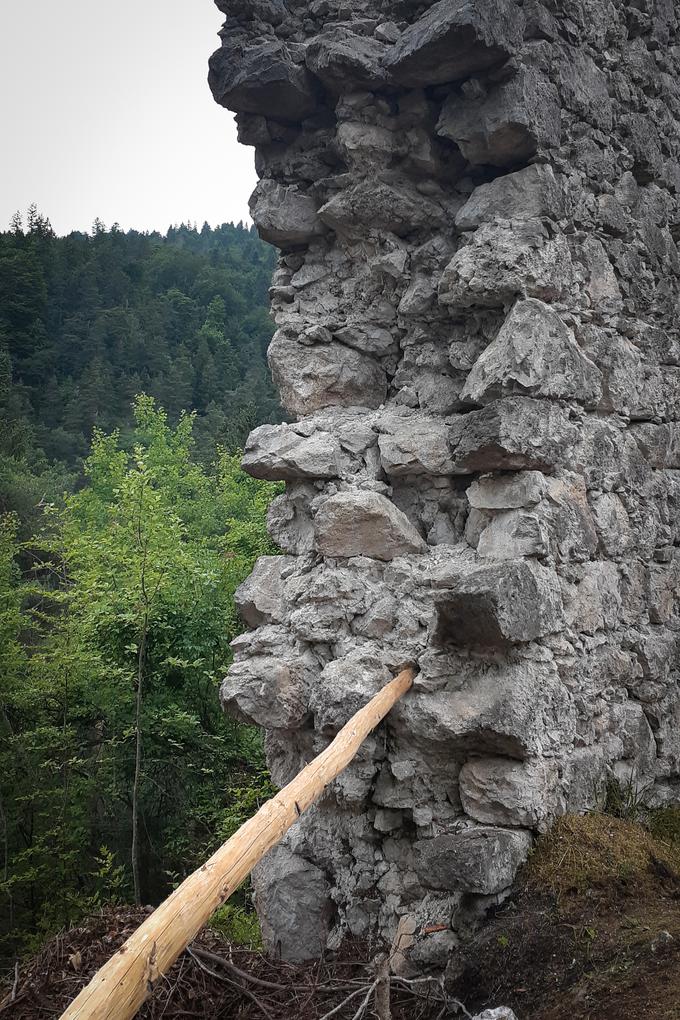 Med prioritetami je sanacija obzidja, je povedal Anže Bizjak, predsednik Kulturno-umetniškega društva Ampus, ki je prevzelo vsebinsko oživitev gradu. | Foto: Alenka Teran Košir