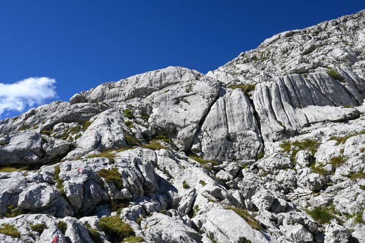 Zadnja ura vzpona je po kamnitem svetu nad Prehodavci. | Foto: Matej Podgoršek
