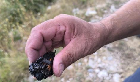 Srhljiv dokaz: to naj bi povzročilo uničujoče požare pri Omišu