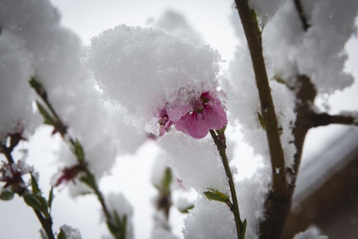 Razmeroma hladni jutri bosta tudi torkovo in sredino, vendar predvidoma ne tako izrazito hladni kot današnje. | Foto: Bojan Puhek