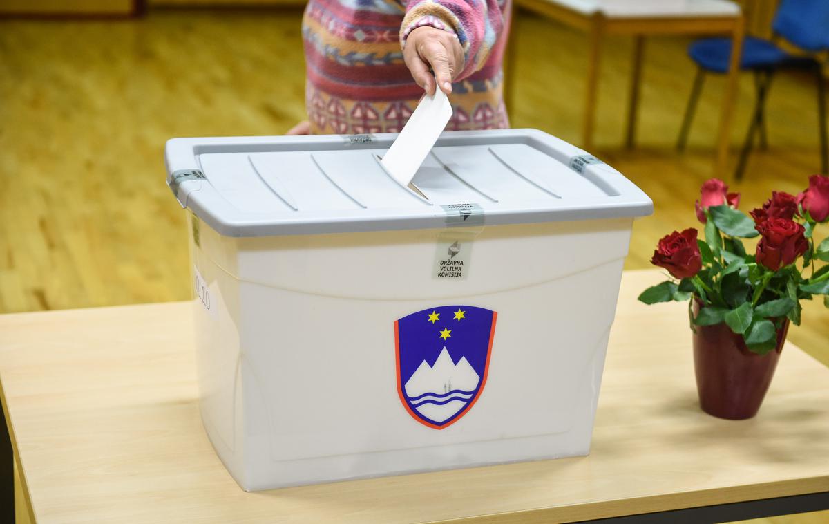 Volitve skrinjica | Lokalne volitve bodo 18. novembra. Morebitni drugi krog županskih volitev bo 2. decembra.  | Foto STA