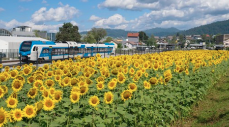 V Ivančni Gorici in Grosupljem zasadili sončno prihodnost