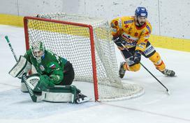 Alpska liga: Olimpija - Asiago (1-. tekma finala)