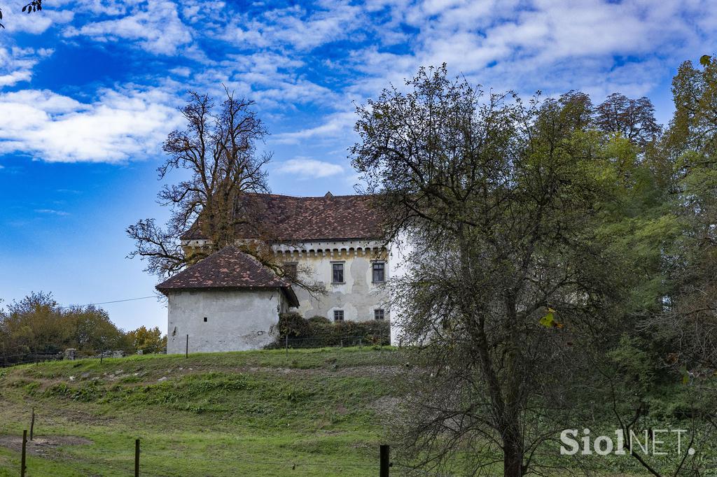 Pedagoško raziskovalni center za konjerejo Krumperk