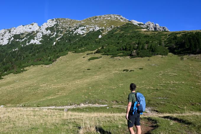 Na Zgornji Dolgi njivi je levo nad nami Tolsta Košuta. | Foto: Matej Podgoršek