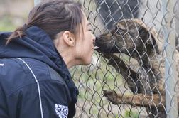 Veterinar Matej Zupanc svari pred pasjimi poljubčki: lahko so zelo zelo nevarni