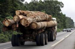 Nezakonita trgovina z afriškim lesom