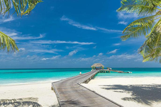Fidži, Fiji | Zimbardi je na rajskem Fidžiju živel od leta 2025 do avgusta letos, ko je bil deportiran v ZDA. Zimbardija so zaradi resnosti obtožb na rajsko otočje prišli iskat in v domovino pospremit celo agenti zveznega preiskovalnega urada FBI. | Foto Shutterstock