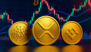Cardano, XRP in BNB stavijo na rast uporabnosti ob makroekonomski volatilnosti Bitcoina