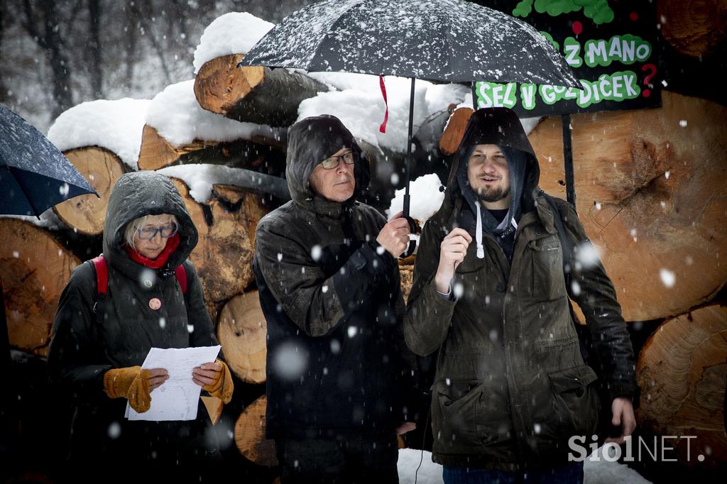 Protest proti sečnji gozda na Rožniku