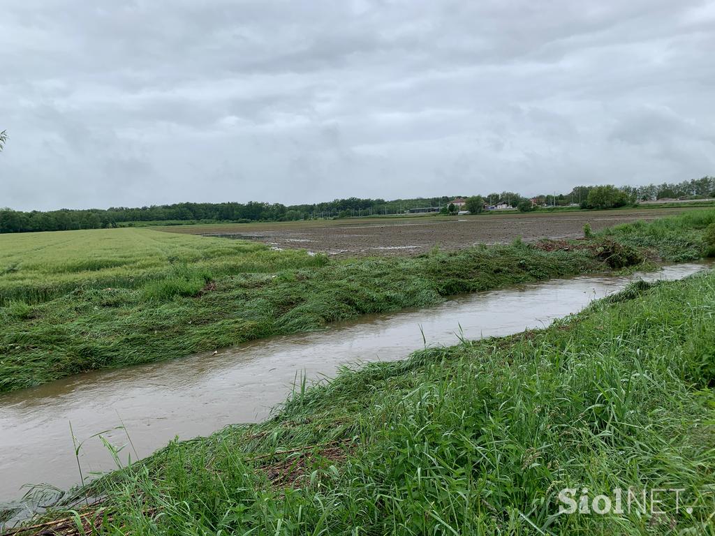 Slovenska Bistrica poplave njive