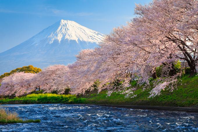 Japonska | Foto: Thinkstock
