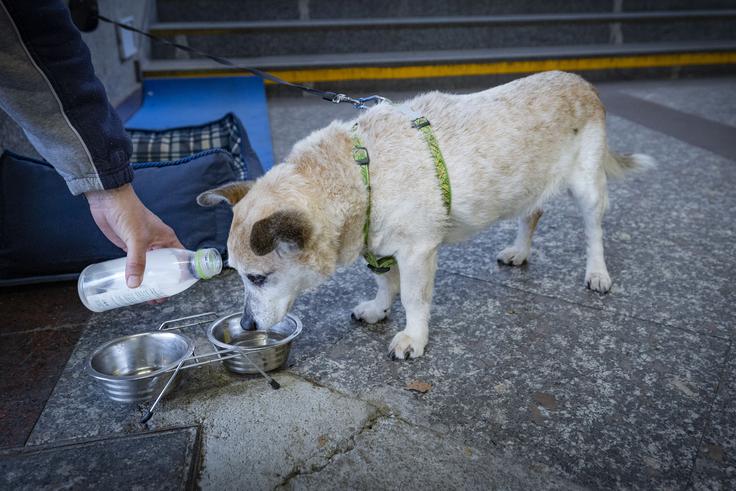 Tobi ima na lokaciji vso potrebno opremo.  | Foto: Ana Kovač