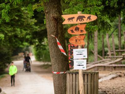 Živalski vrt Ljubljana išče novega direktorja