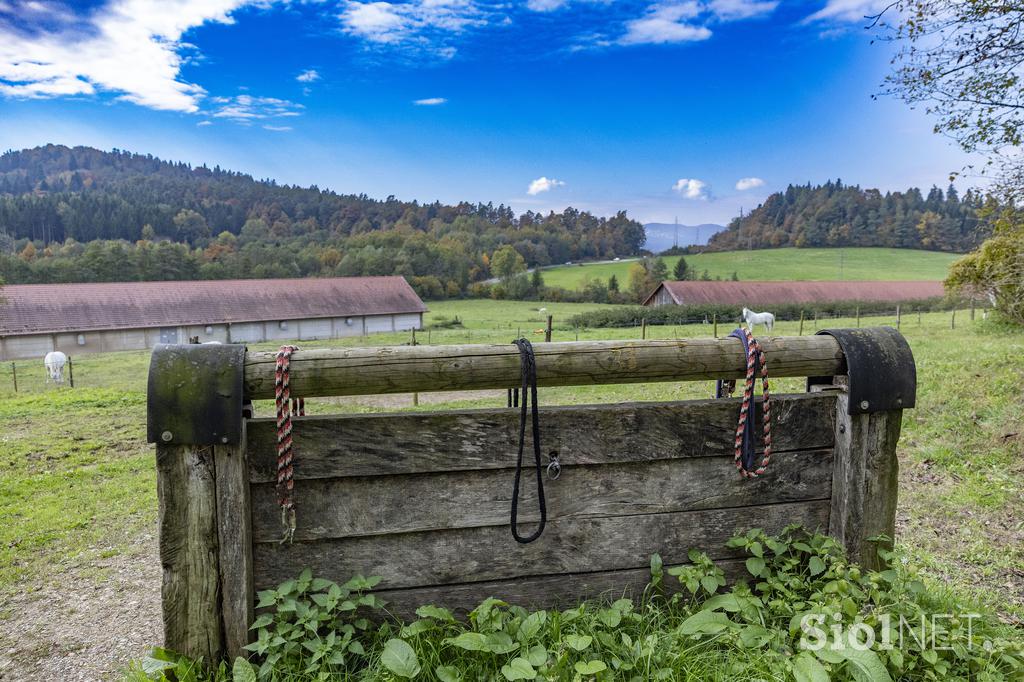 Pedagoško raziskovalni center za konjerejo Krumperk