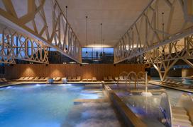 WellnesS Vodian Terme Olimia