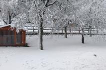 Veliko Ubeljsko, med Razdrtim in Postojno, Primorska