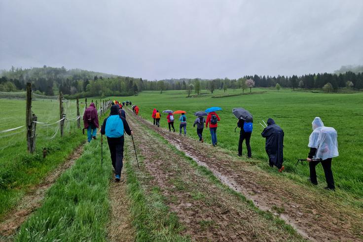 Prvi kilometri na pohodu Po medvedovih stopinjah | Foto: Matej Podgoršek