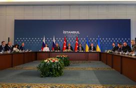 Istanbul pregovori