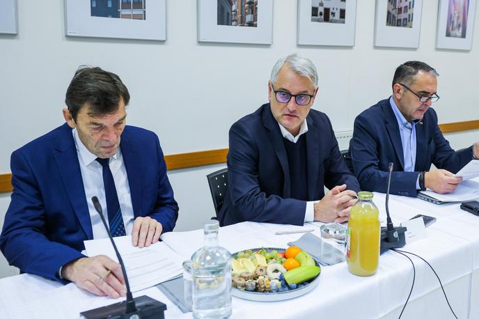 vlada, obisk, Zasavje | "Vesel sem, da smo po dveh letih in pol, odkar je zakon pripravljen, končno uskladili rešitve in da lahko to pomembno pridobitev za delavce in za gospodarstvo uzakonimo še v tem mandatu," je dejal gospodarski minister Matjaž Han (v sredini).  | Foto STA