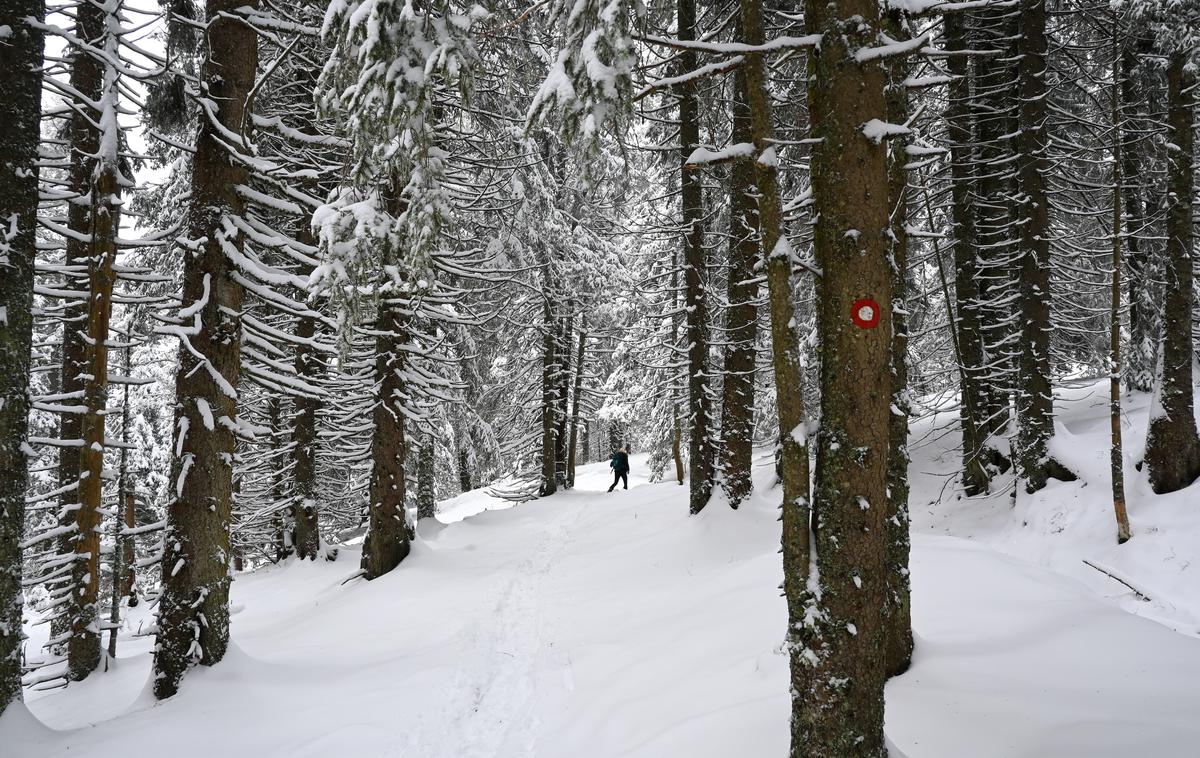 Rogla Lovrenška jezera sneg | Po markirani in trenutno zasneženi pešpoti z Rogle na Lovrenška jezera | Foto Matej Podgoršek