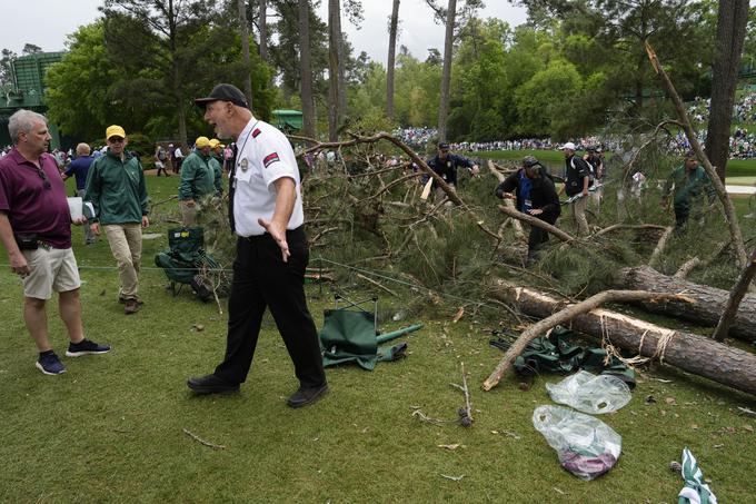 golf Augusta drevesa | Foto: AP / Guliverimage