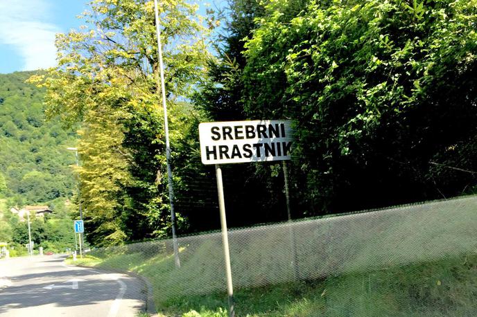 srebrni hrastnik | Foto Bralec Daš