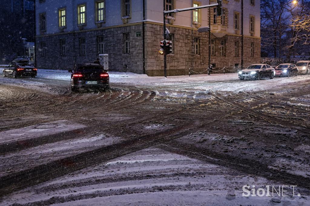 Sneg v Ljubljani
