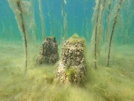 Ohrid, Ohridsko jezero