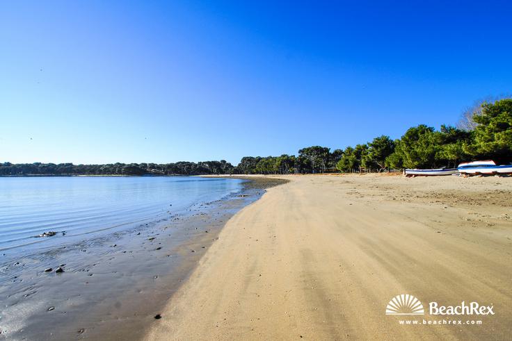 plaža Bijeca, Medulin | Foto: BeachRex