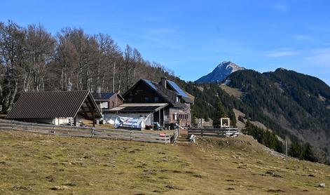 Pod kočo na Kriški gori golosek in nova traktorska vlaka