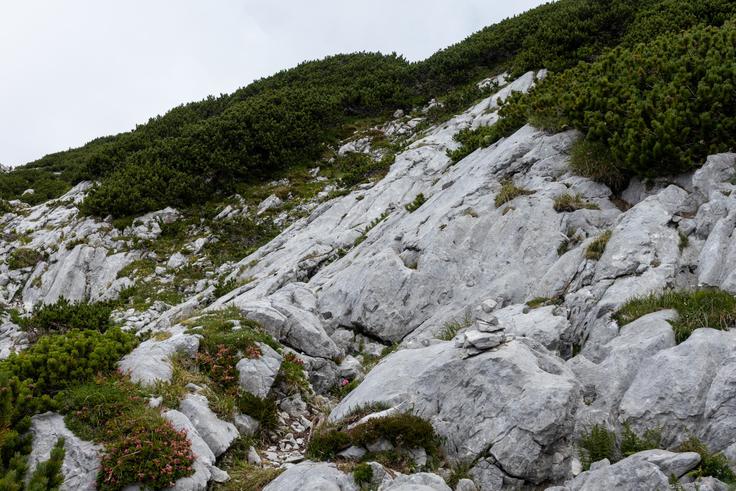 Največ pozornosti je potrebne, ko prečkamo to nagnjeno skalno gmoto, nato pa nas možici usmerijo v levo. | Foto: Matej Podgoršek