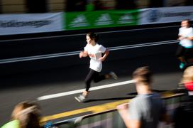 LJ maraton šolski teki