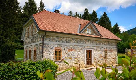 Država terja milijone evrov: kmečka vila Igorja Bavčarja gre na dražbo