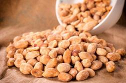 Bi pri otrocih, alergičnih na arašide, lahko vzpostavili toleranco zanje?
