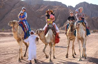 Pozimi v Egipt: sončna Hurgada in Šarm el Šejk s super all inclusive ponudbo!