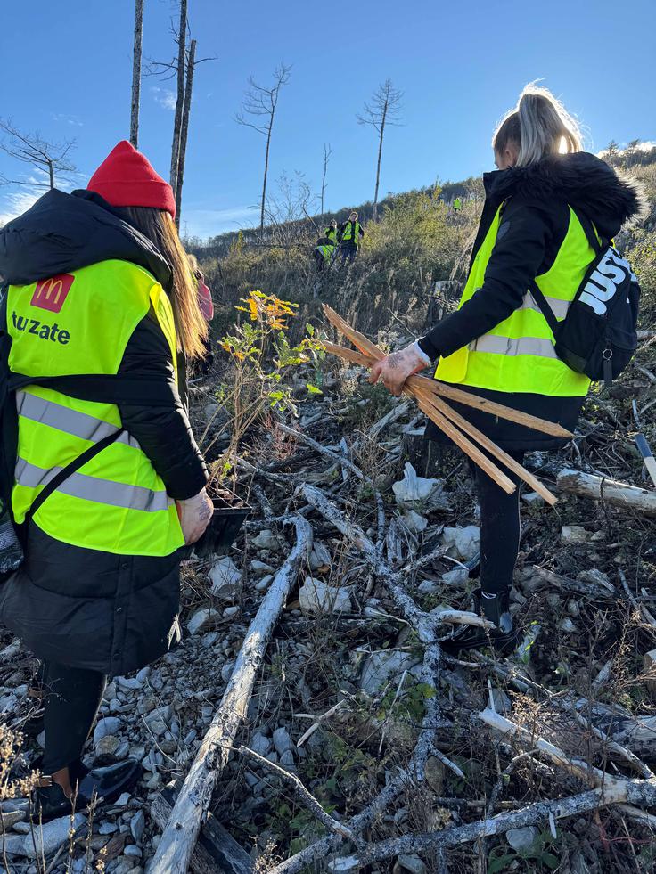 McDonalds - Obnova kraškij požarišč | Foto: Alpe-Panon d.o.o.