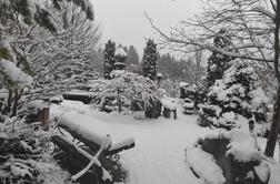 Del Slovenije odet v belo: ponekod zapadlo več kot 20 centimetrov snega