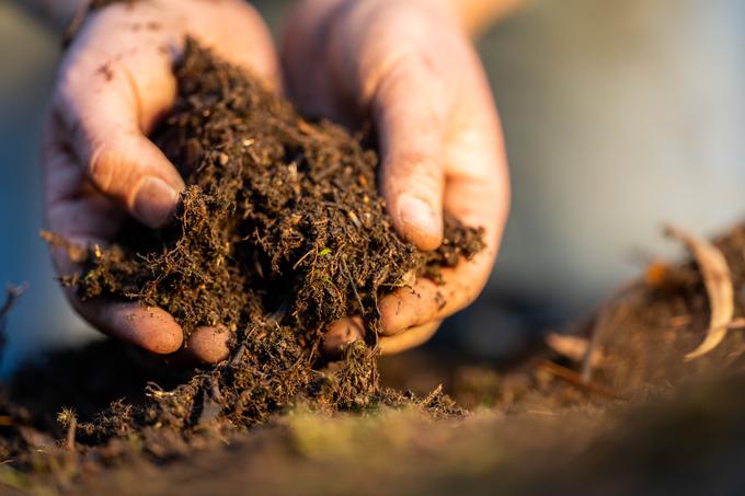 kompost, kompostiranje | Foto: Shutterstock