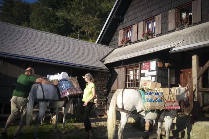 Roblekov dom oskrbujejo s konji, ki hrano in pijačo prinesejo s Poljškove planine, ki je približno uro oddaljena od Robleka. | Foto: Alenka Teran Košir